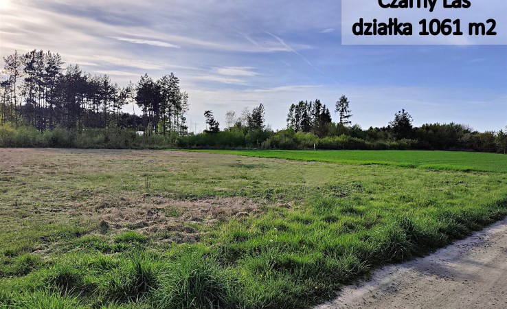 działka na sprzedaż - Mykanów, Czarny Las, Sadowa